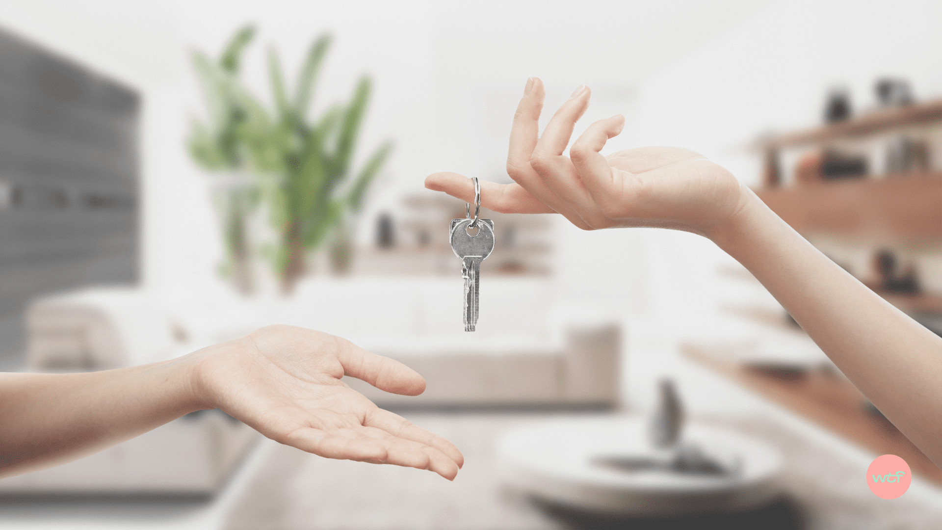 Photo de couverture : Transmission en franchise (1/2) : Préférer (ou pas) la reprise à la création d’entreprise