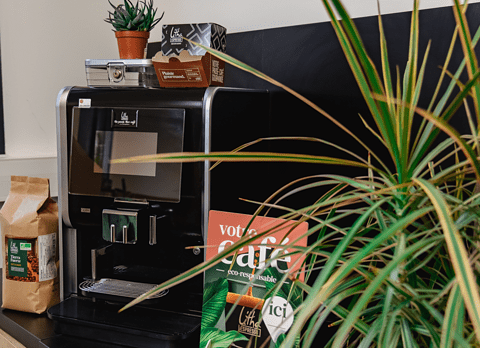 Background franchise Litha