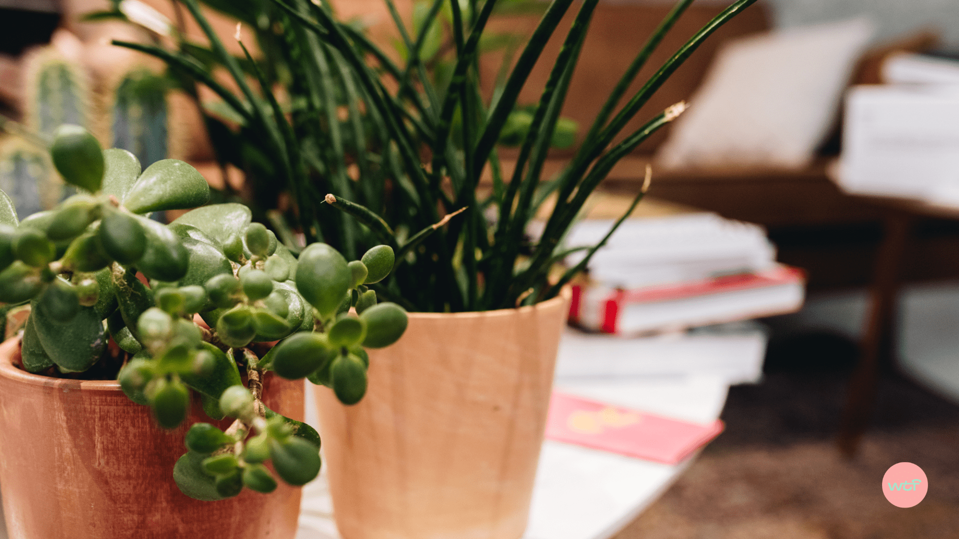 Photo de couverture : Franchise et RSE :
Deux outils facilitants,
créés spécifiquement pour les réseaux