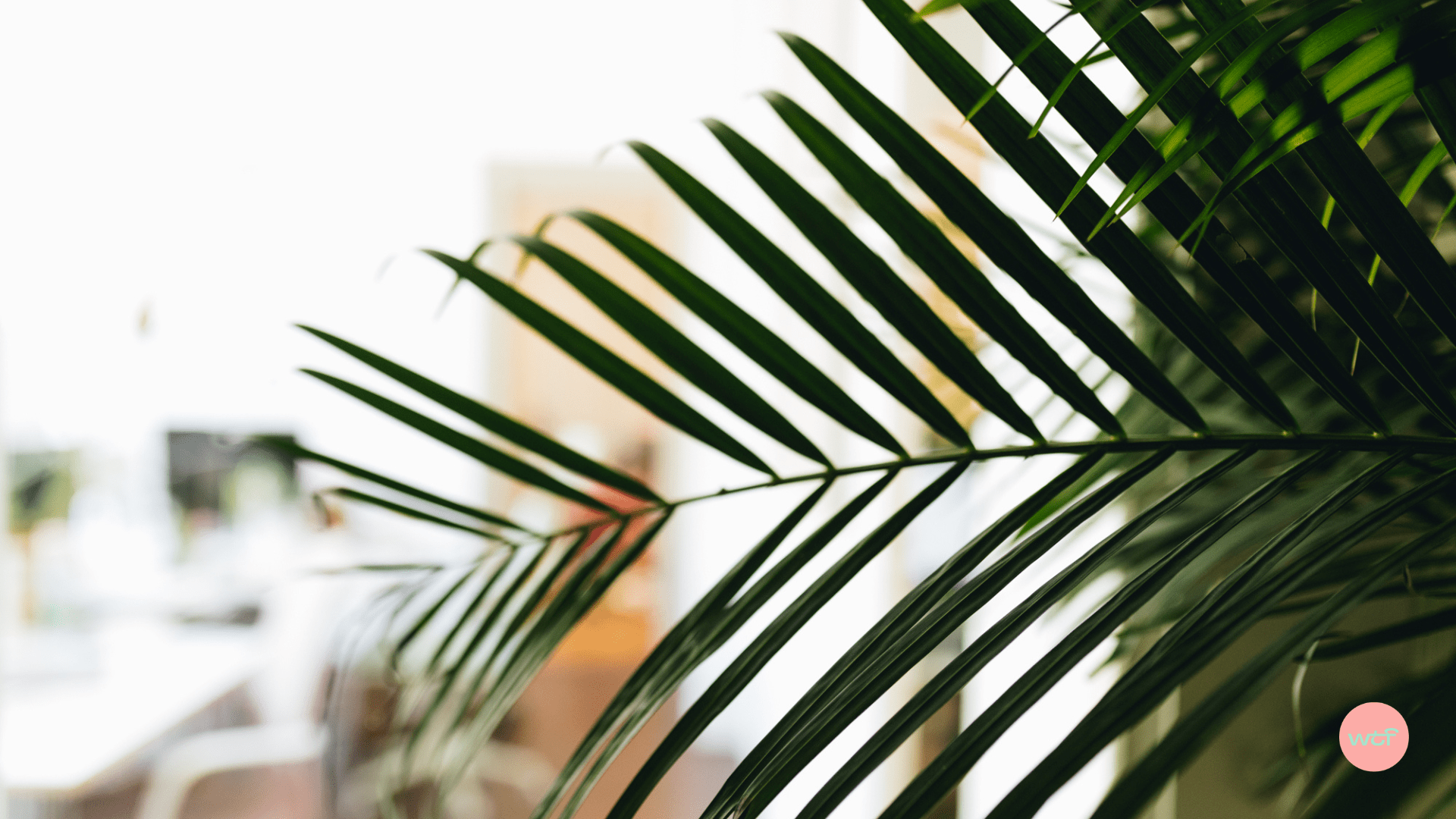 Franchise et RSE (2/5) :
Deux concepts répondant à des problématiques environnementales et sociétales