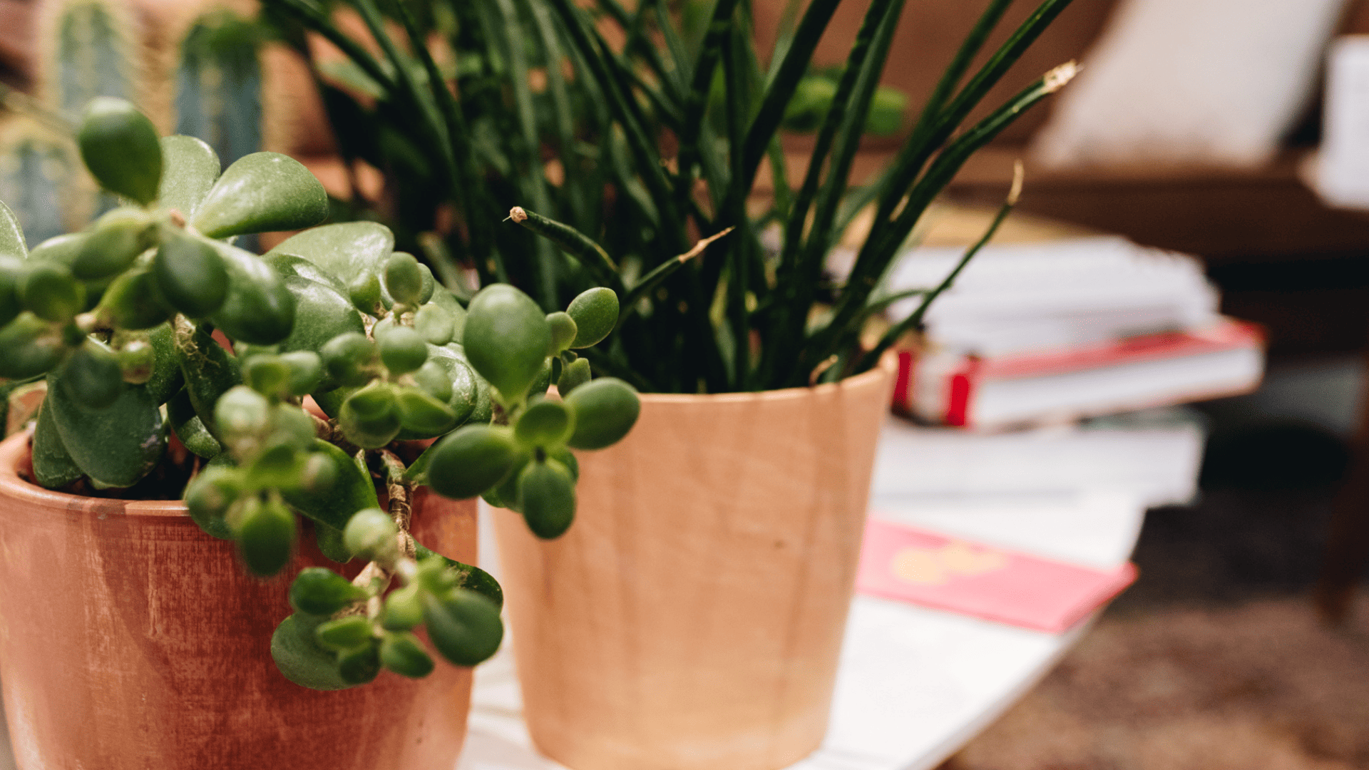 Photo article exemples limiter impact planète