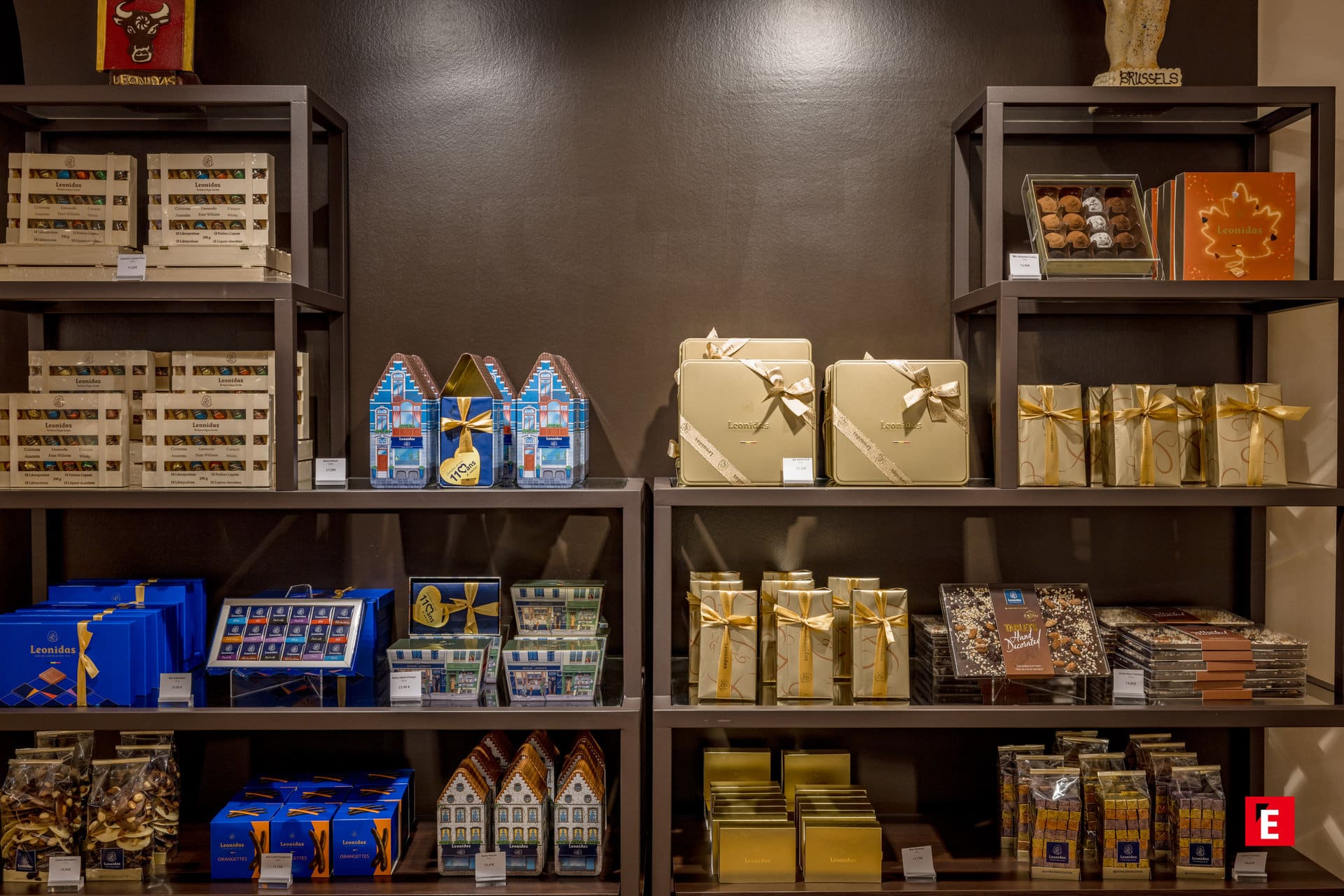 Franchise Leonidas 13