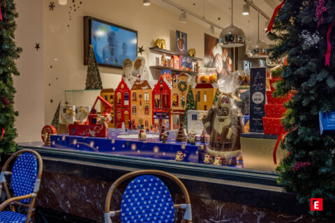 Franchise Leonidas 22