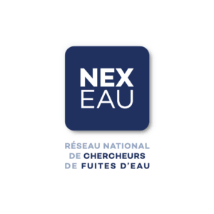 Logo Franchise Nexeau