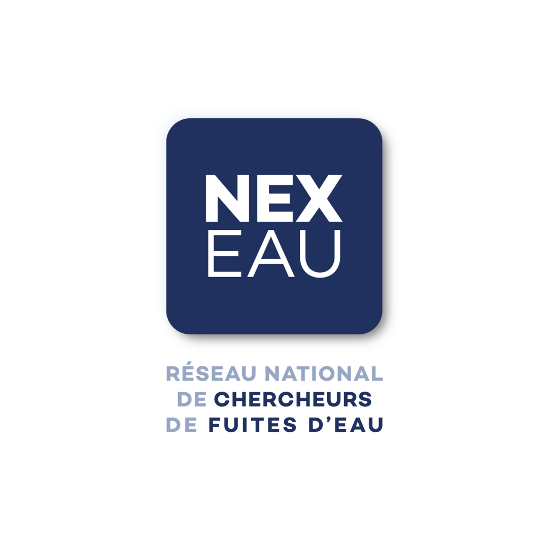Logo Franchise Nexeau