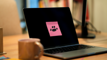 Een franchise van een dierenwinkel openen: wat je moet weten