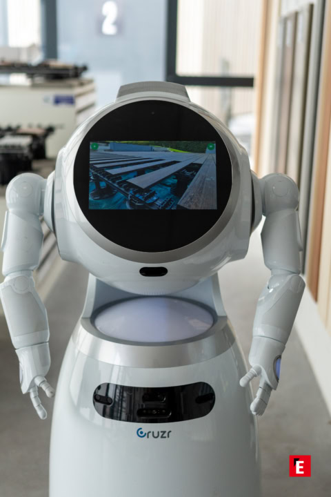 Franchise Deckibois 19