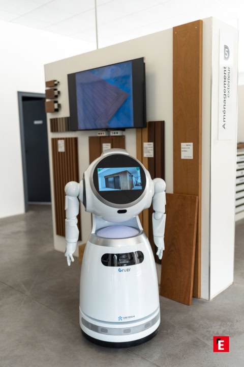 Franchise Deckibois 20