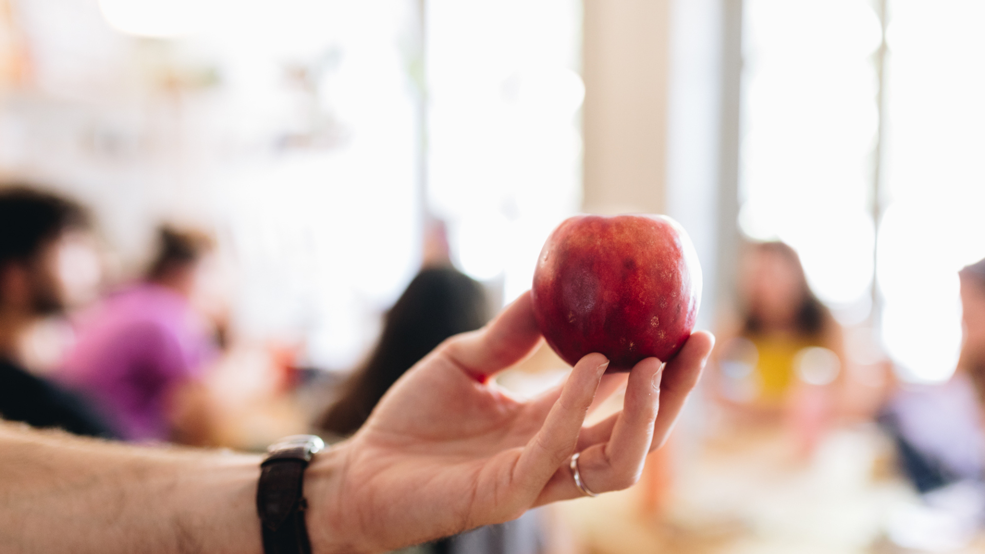 franchise bio belgique