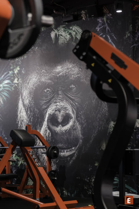 Franchise One Fitness Club 18