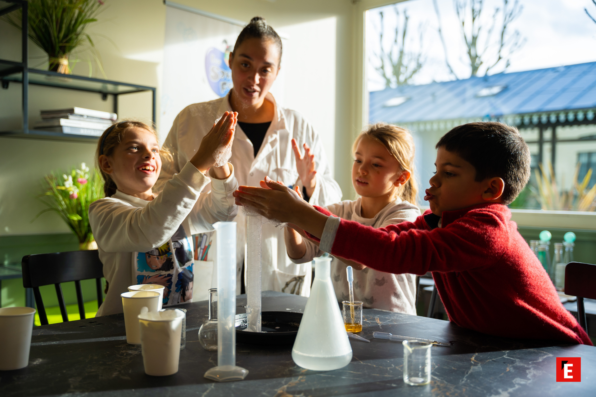 Franchise Les savants fous 2