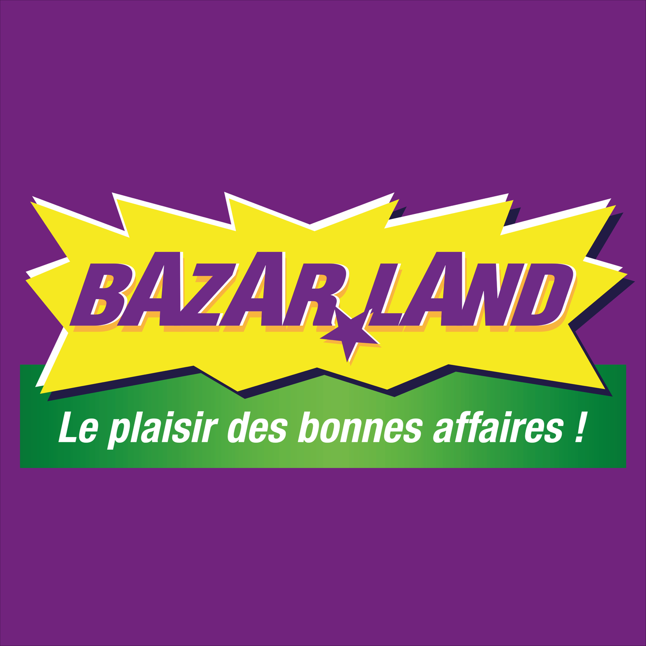 logo bazarland 100 x 100 cm avec fond bohême anaïs