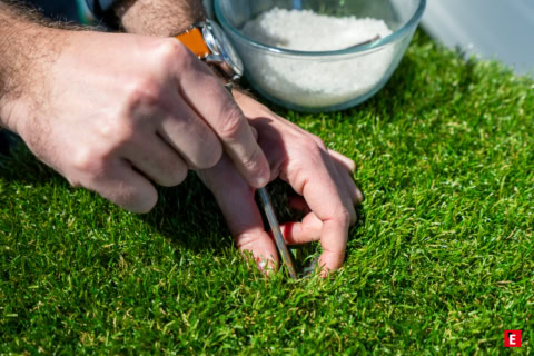 Franchise Vérébo 15