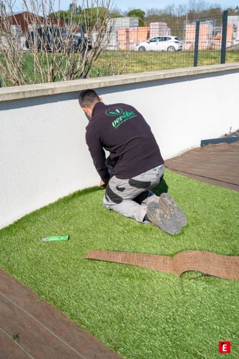 Franchise Vérébo 6