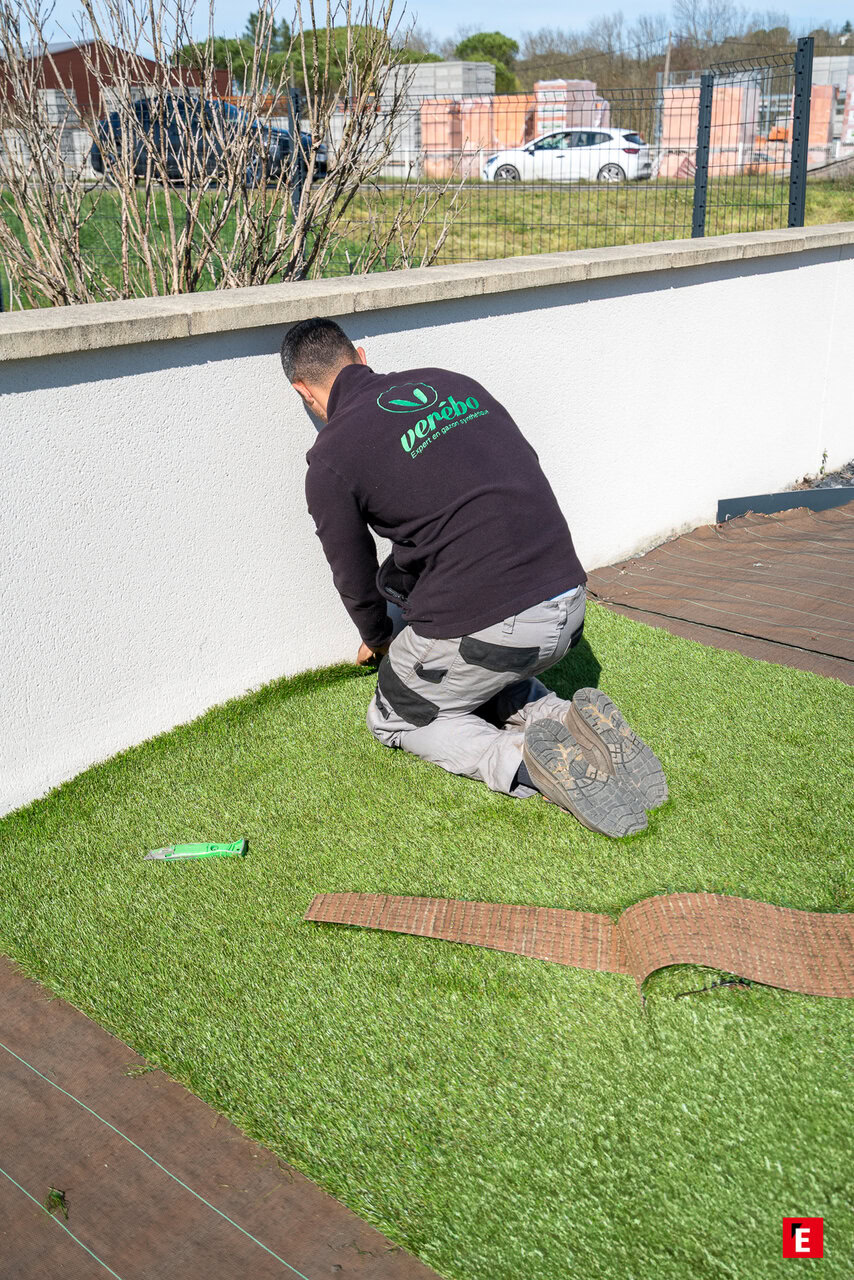 Franchise Vérébo 6