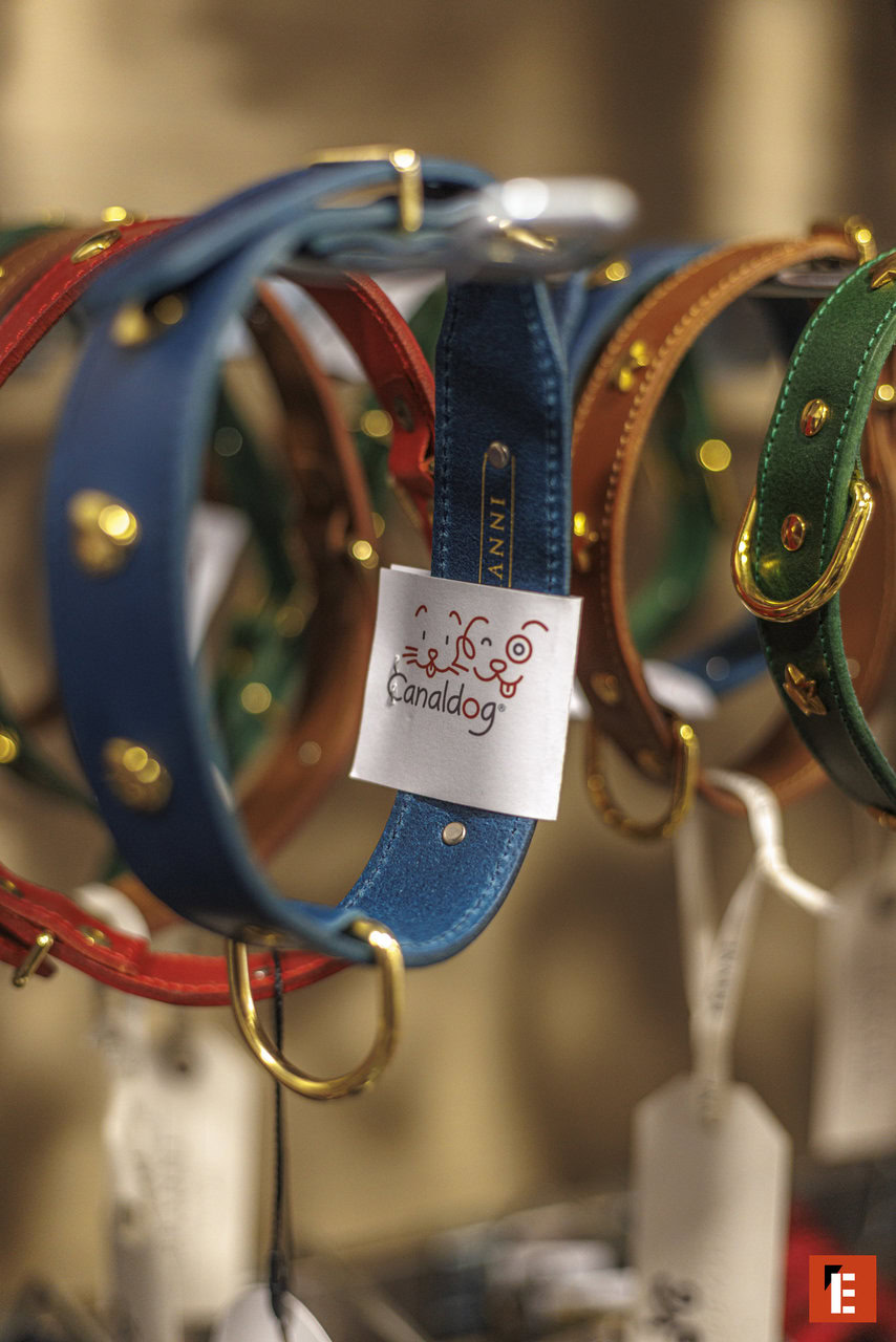 Franchise CANALDOG 1