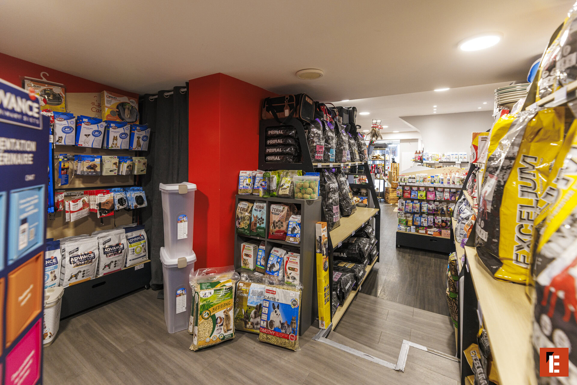 Franchise CANALDOG 6