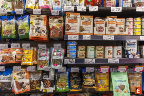 Franchise CANALDOG 7