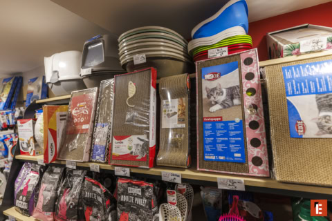 Franchise CANALDOG 8