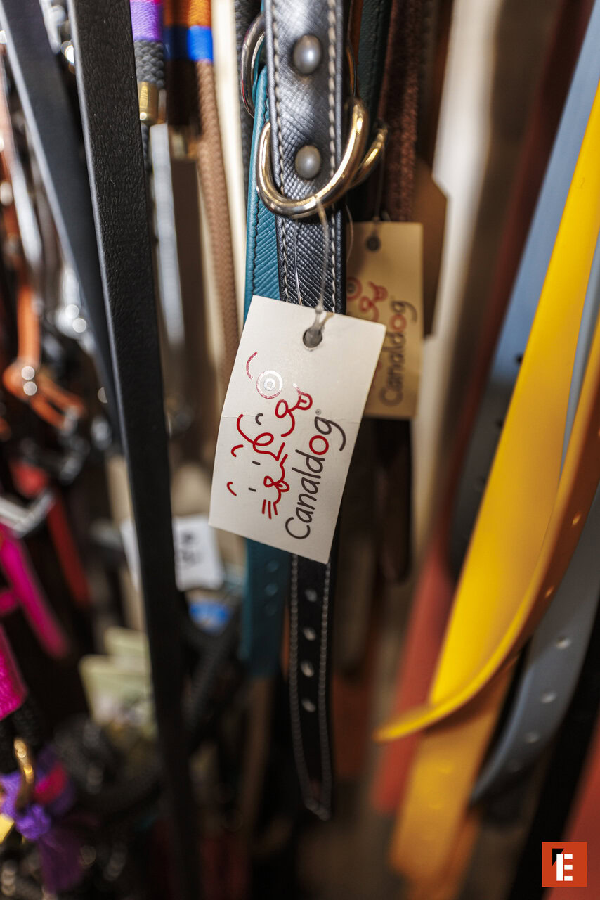 Franchise CANALDOG 10