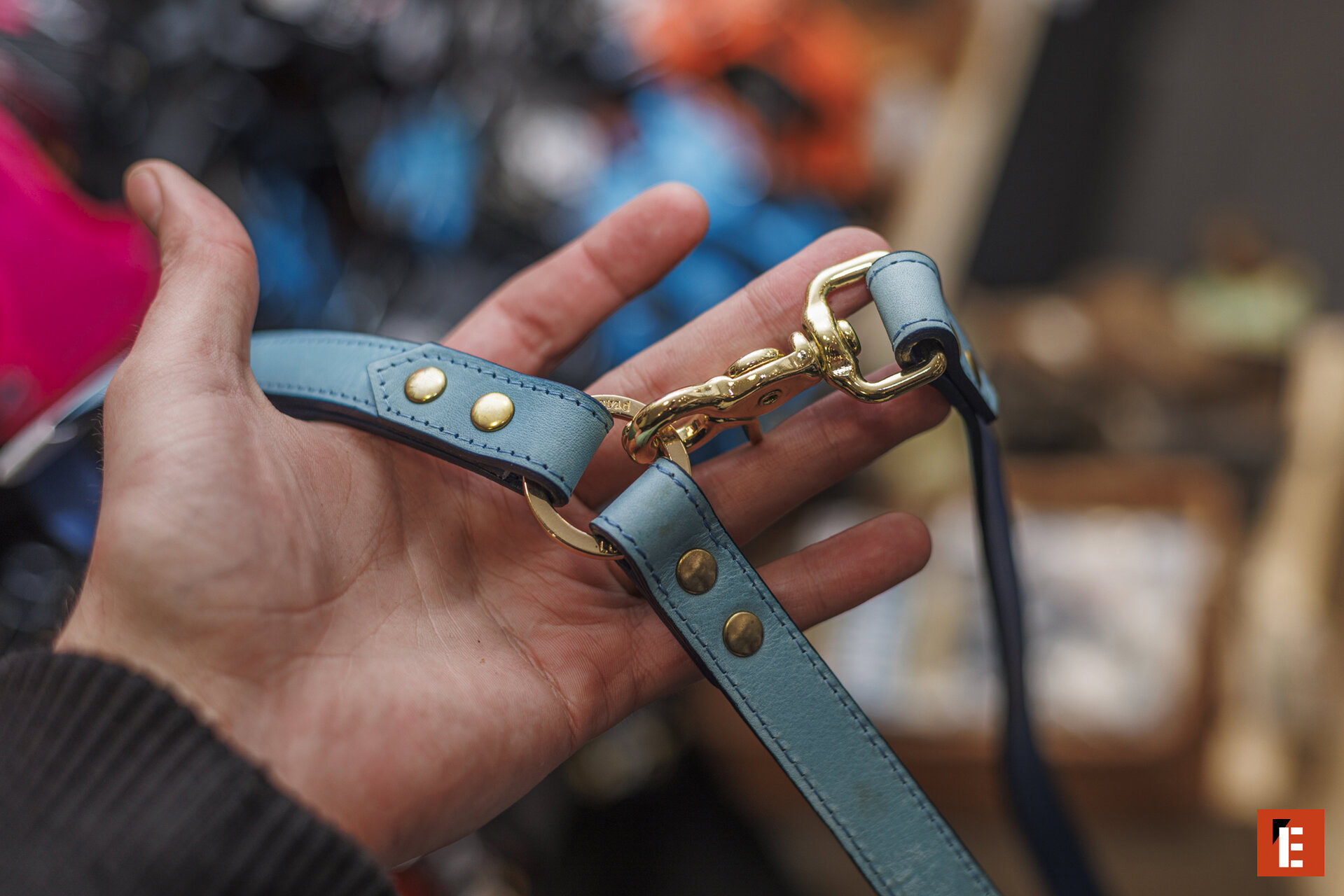 Franchise CANALDOG 16