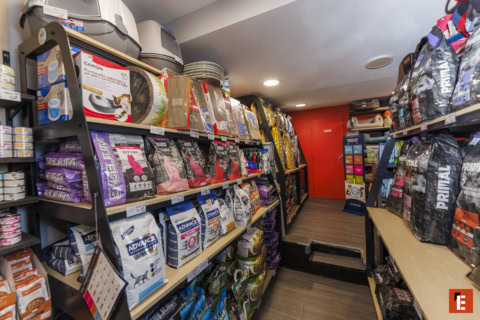 Franchise CANALDOG 19