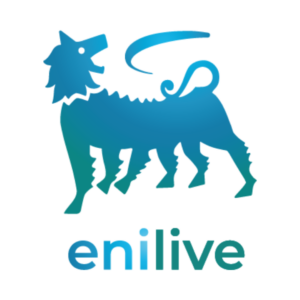 logo Franchise enilive france