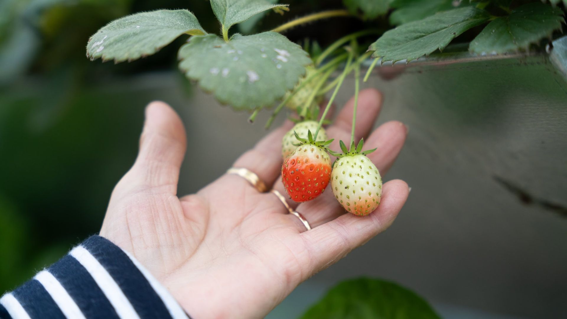 Quadra Terra vous donne rendez-vous après Franchise Expo Paris !