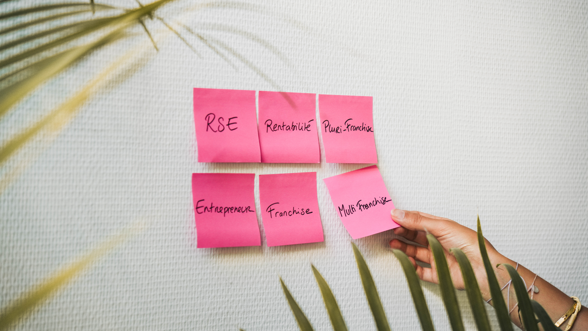 Multifranchisés, ils ont créé un empire