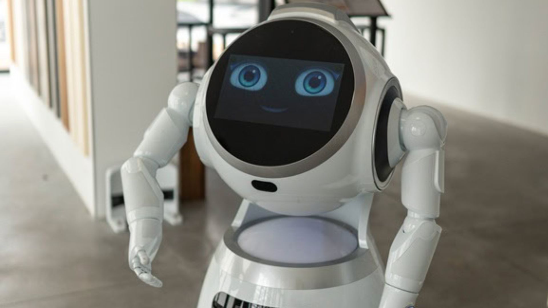 Innovation et Humanité au Cœur de la Franchise DECKIBOIS