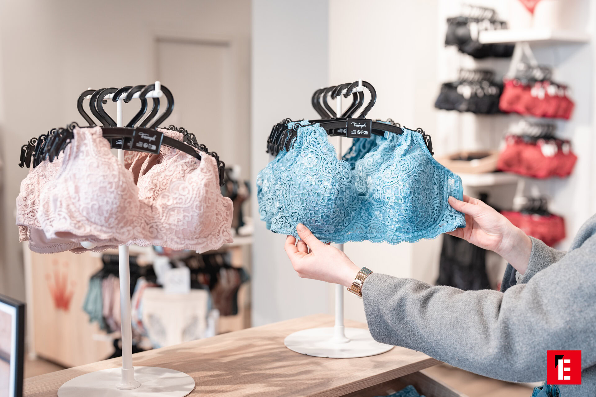 Franchising Triumph 14