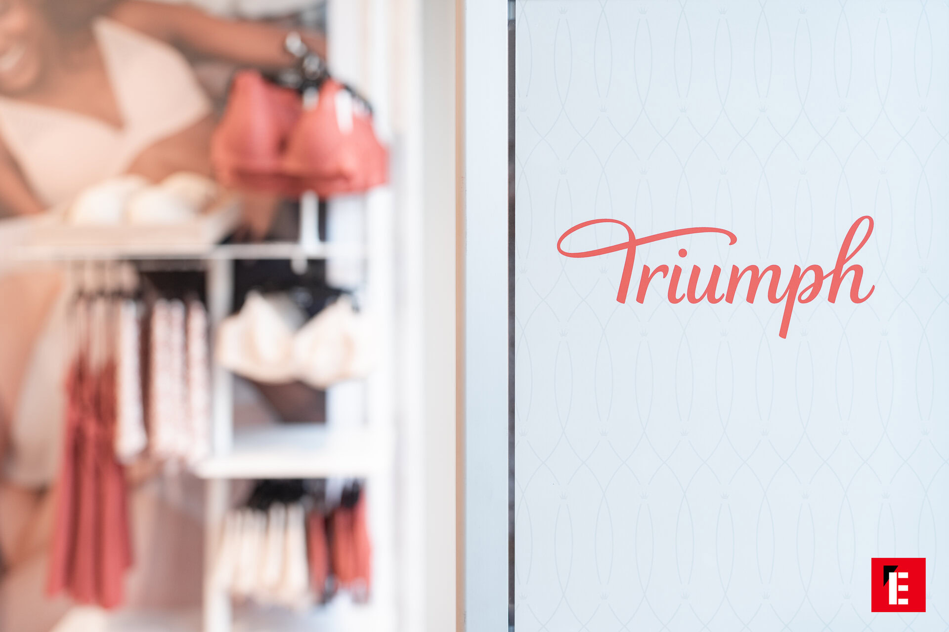 Franchising Triumph 2