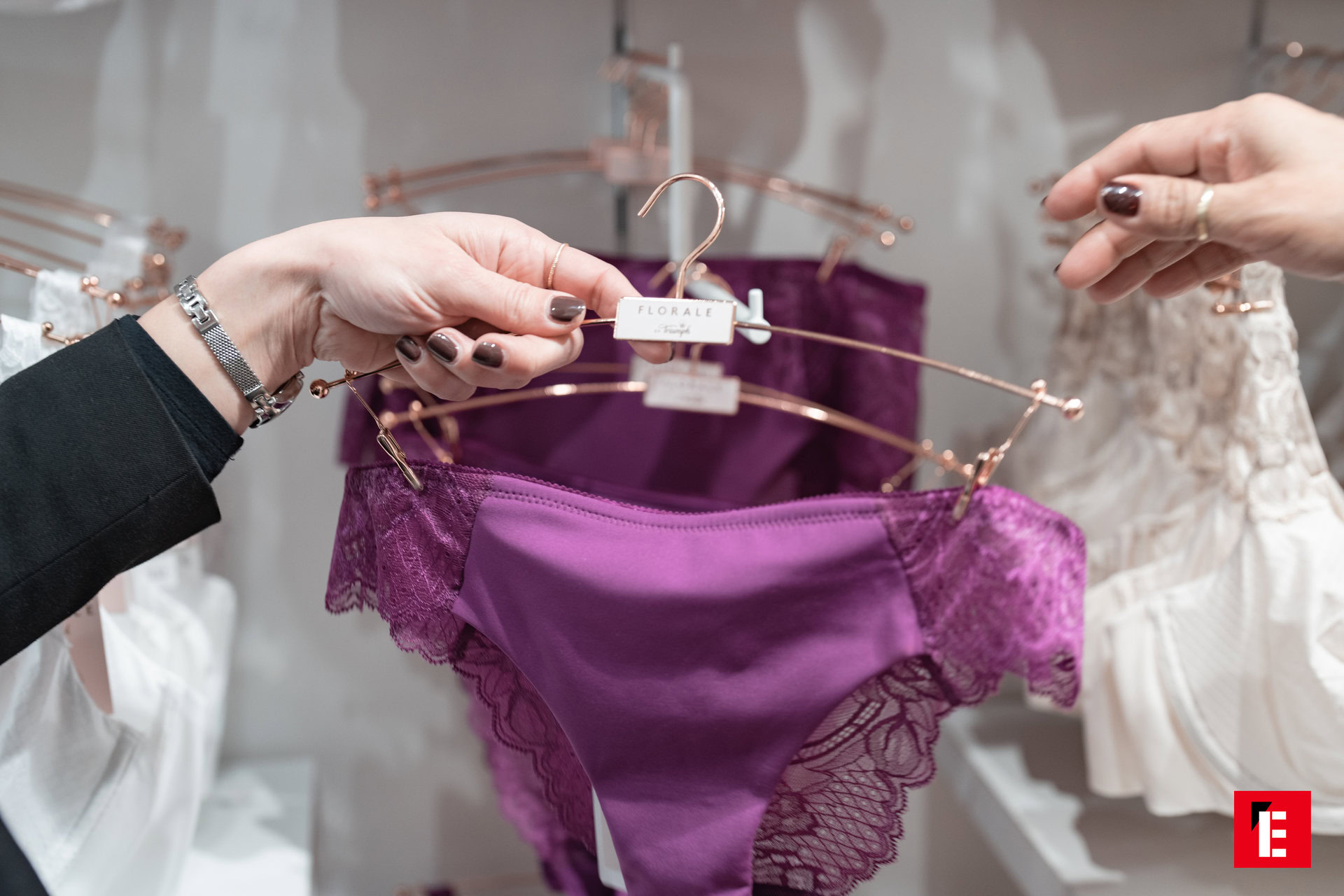 Franchising Triumph 5