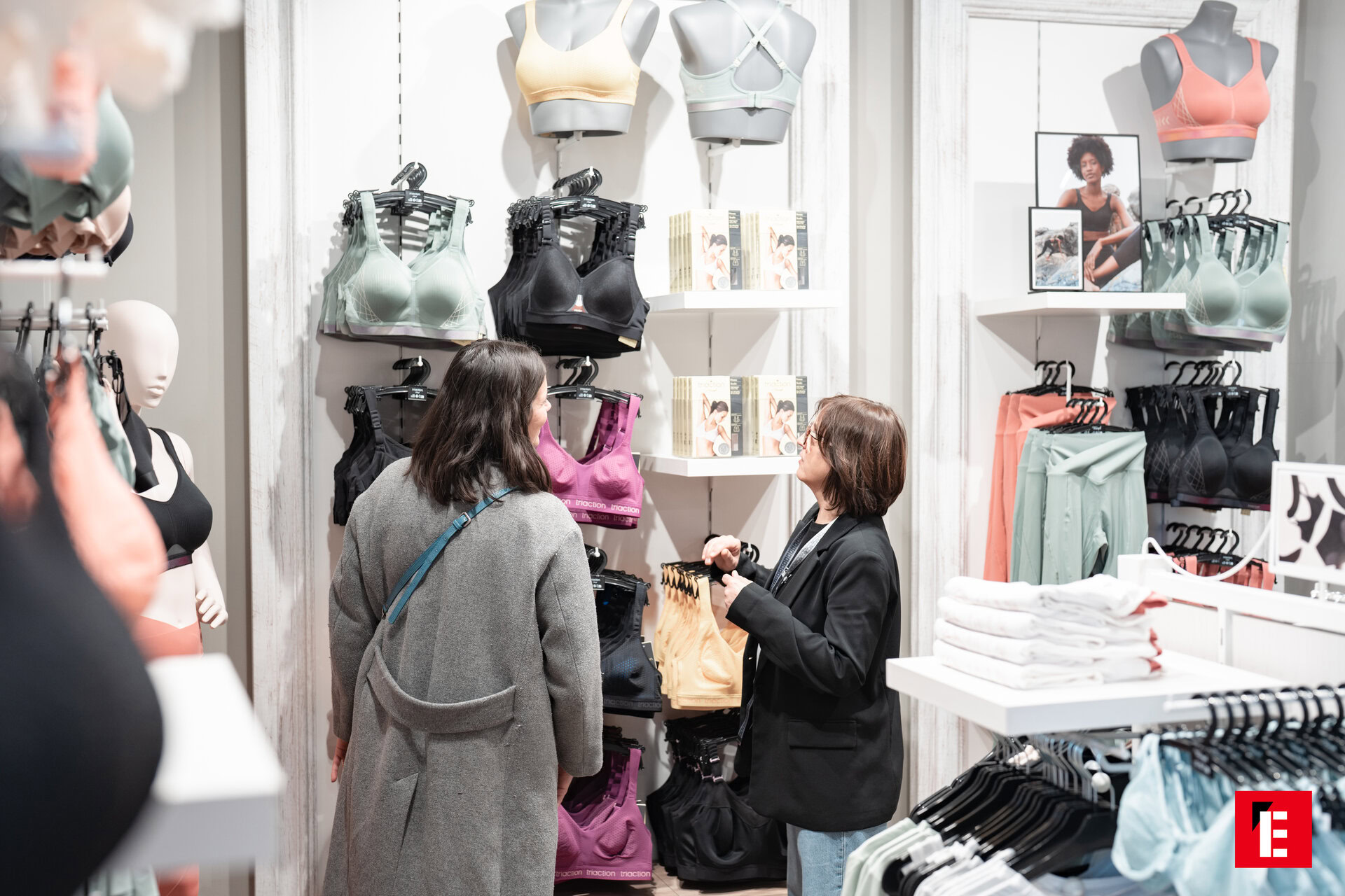 Franchising Triumph 6