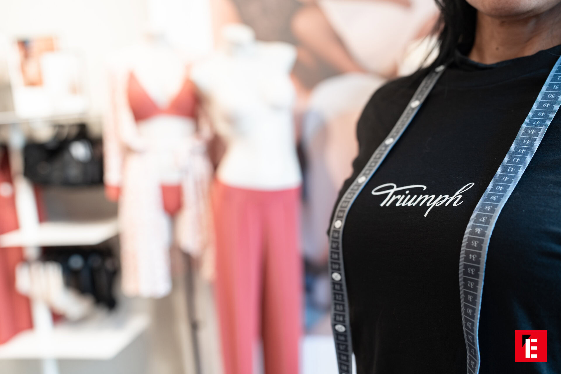 Franchising Triumph 11