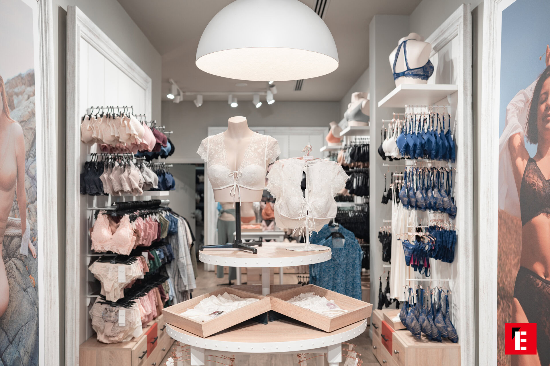 Franchising Triumph 13