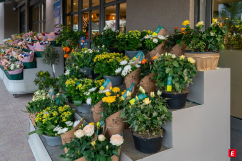 Franchise Jardin des Fleurs 3