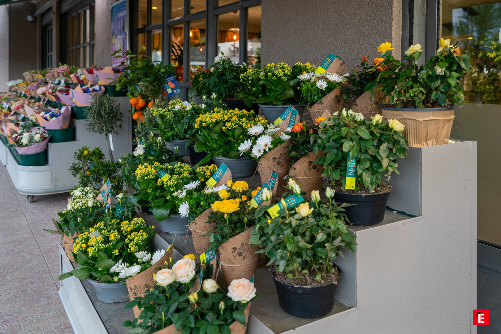 Franchise Jardin des Fleurs 3