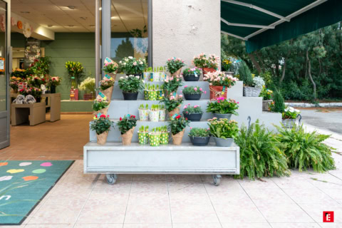 Franchise Jardin des Fleurs 1