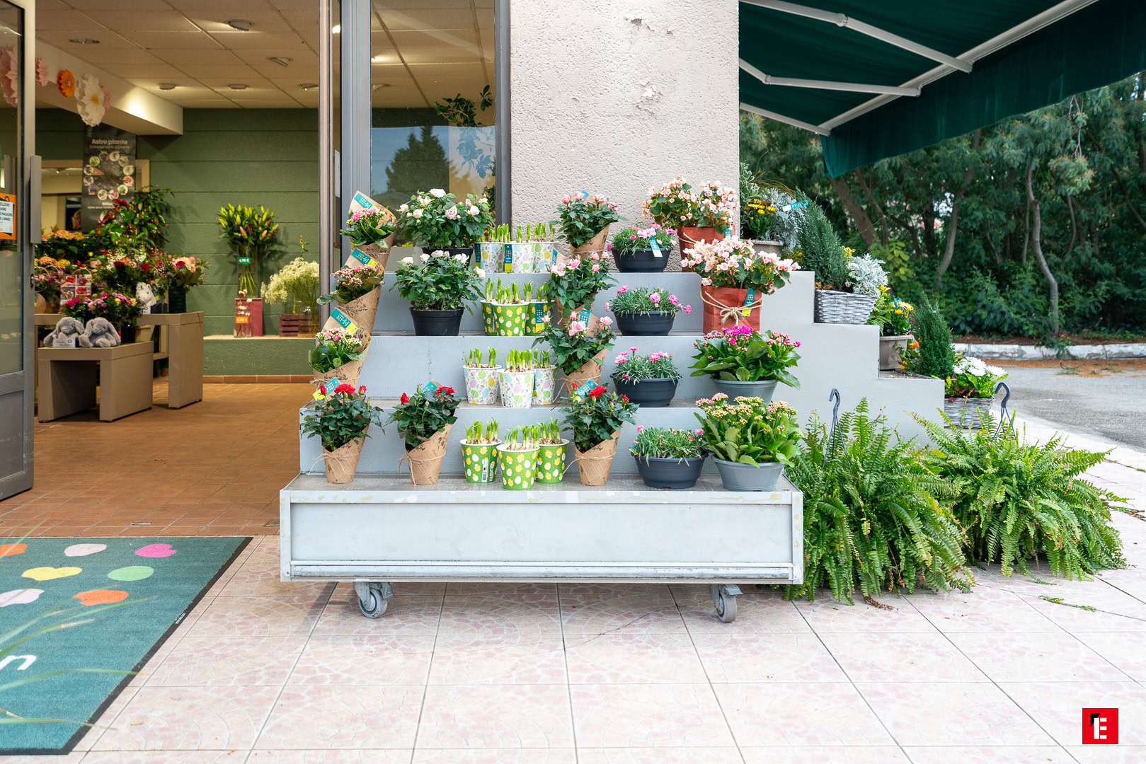 Franchise Jardin des Fleurs 1