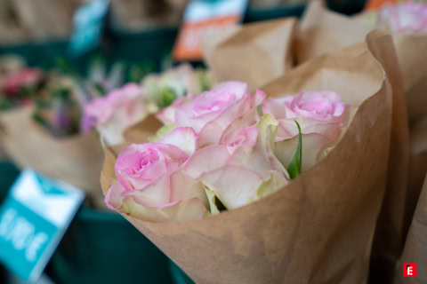 Franchise Jardin des Fleurs 10