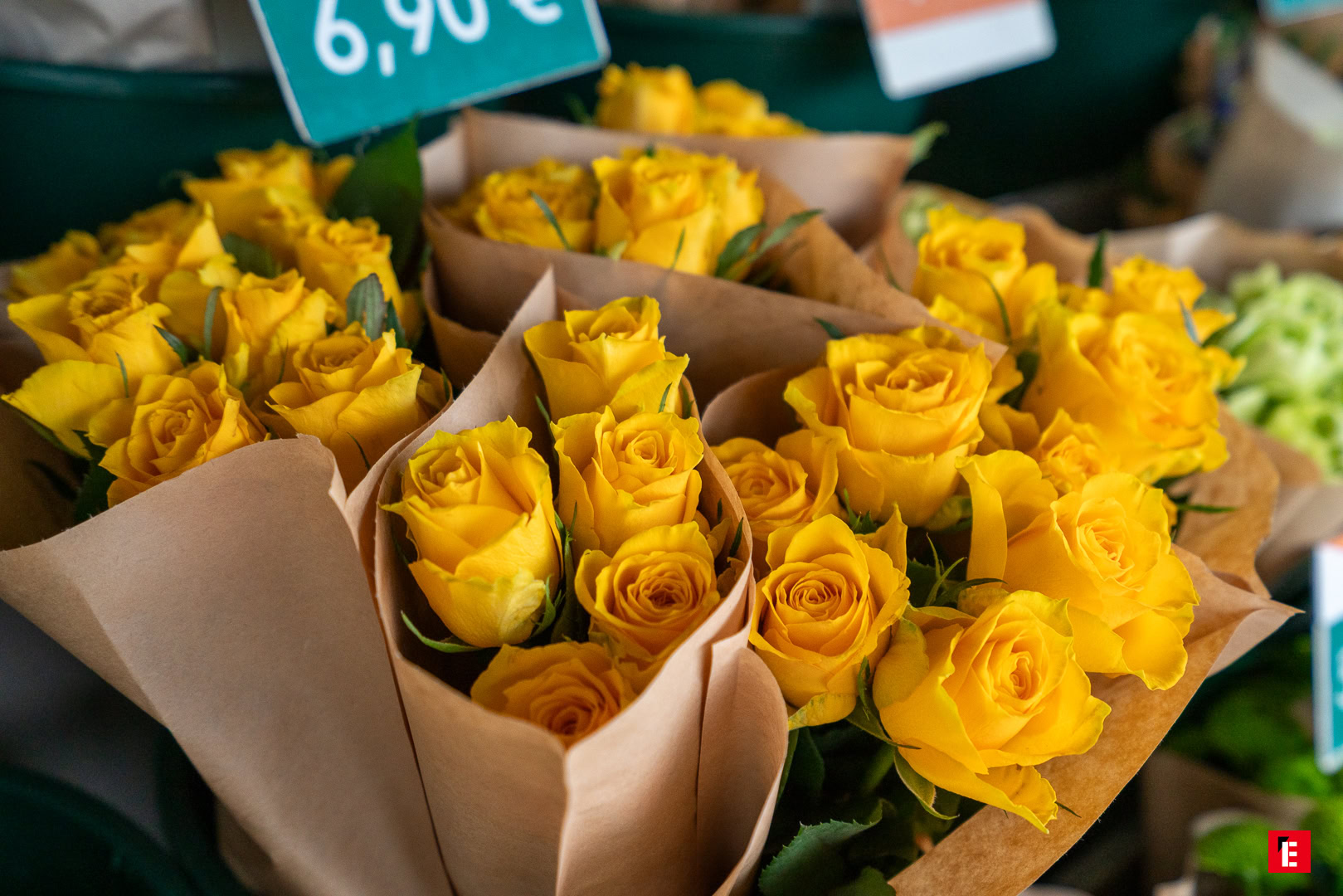 Franchise Jardin des Fleurs 7