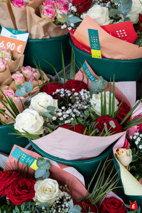 Franchise Jardin des Fleurs 8