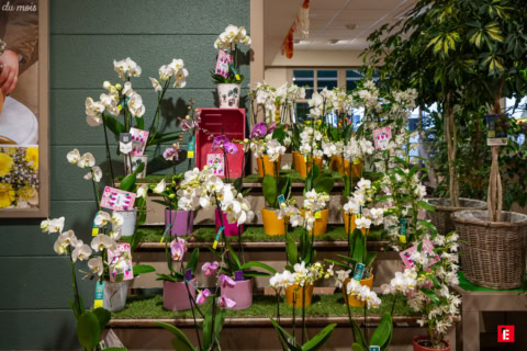 Franchise Jardin des Fleurs 11