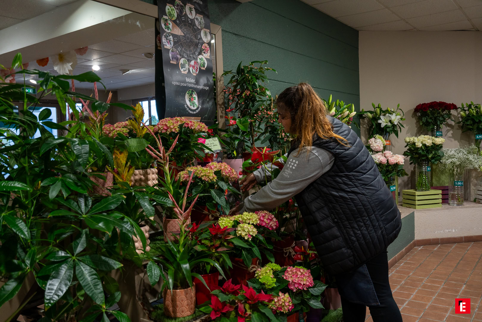 Franchise Jardin des Fleurs 21