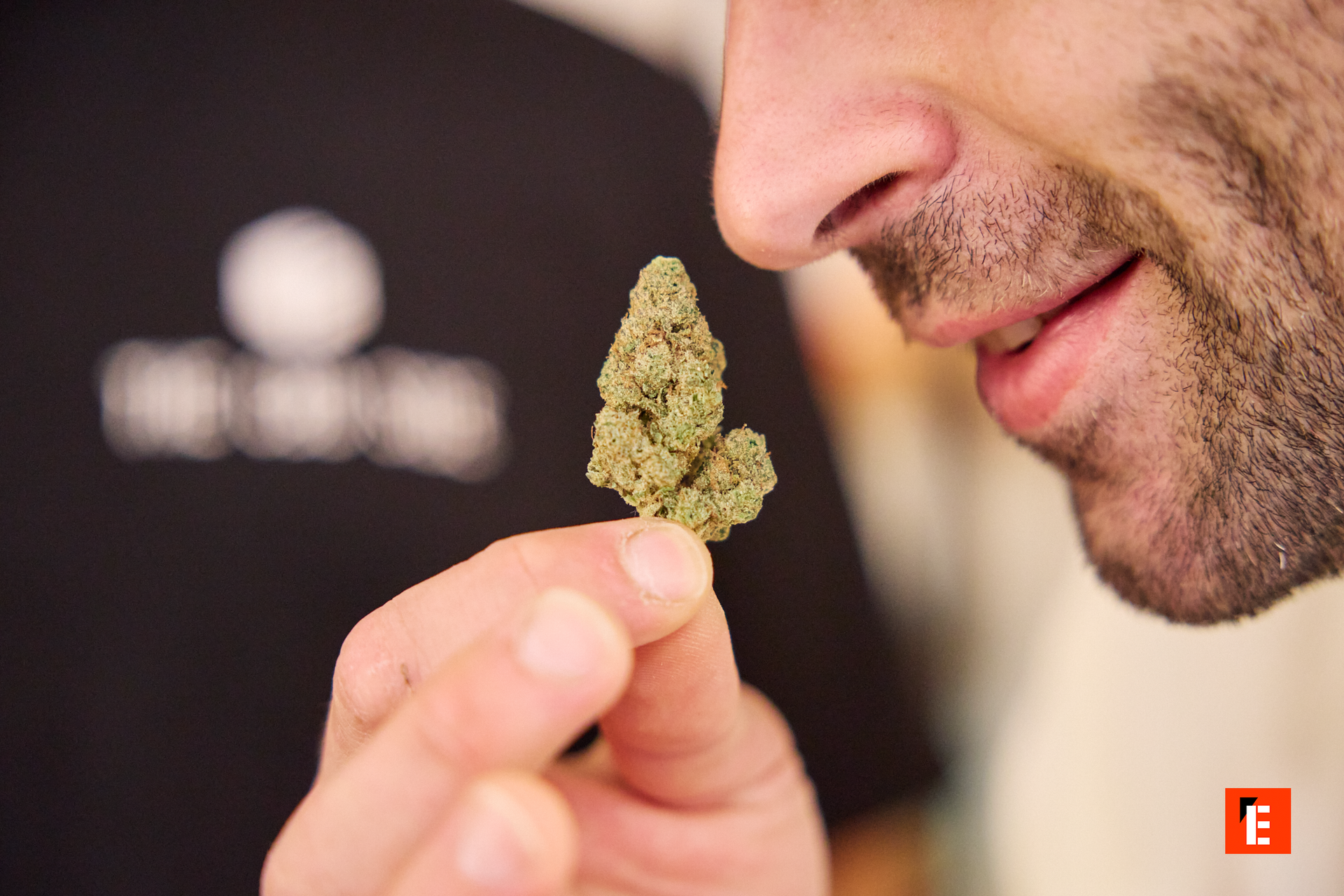 Franquicia THE CBD SIDE 13