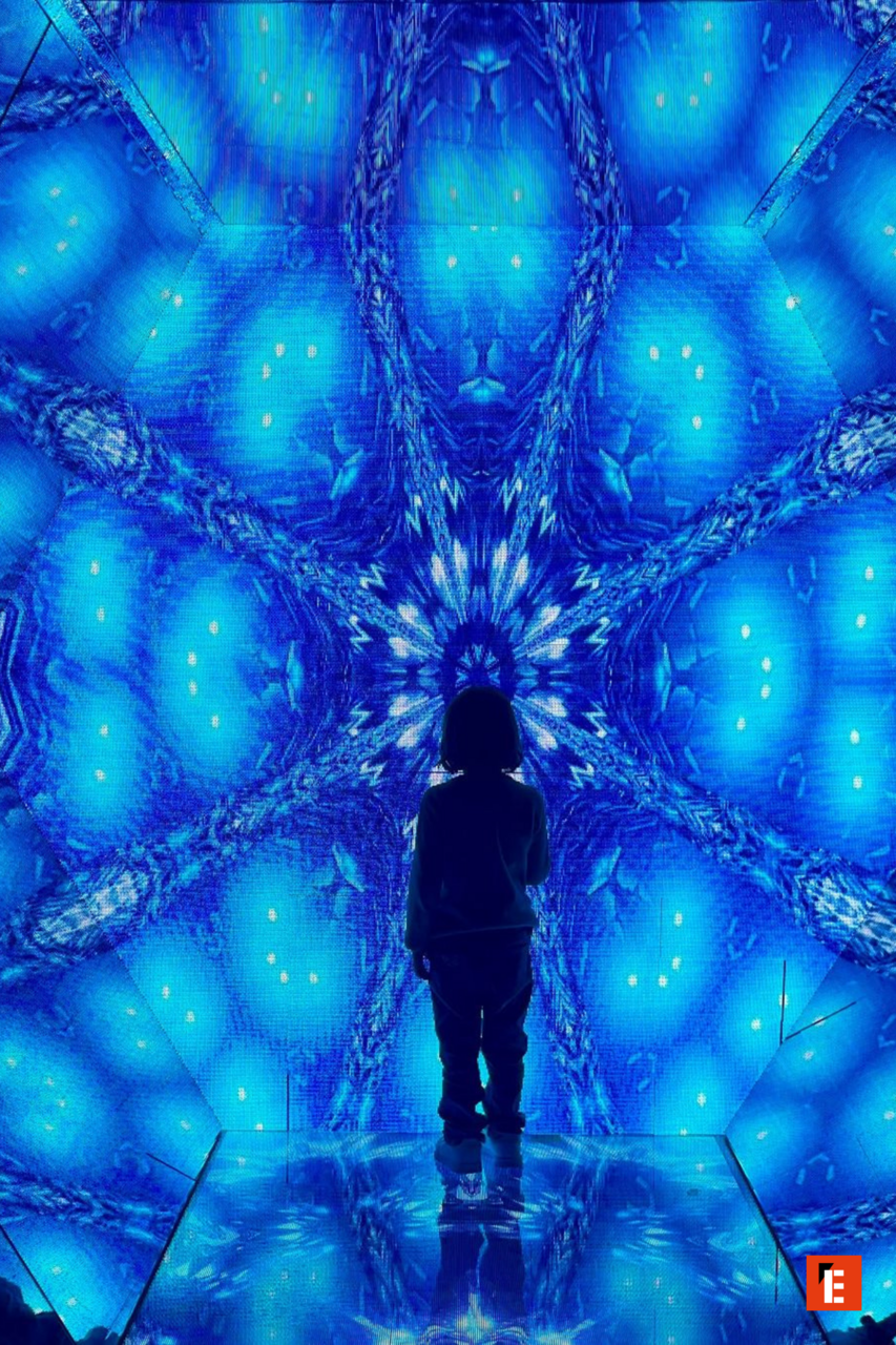 Franchising Paradox Museum 18