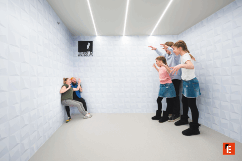 Franchising Paradox Museum 3