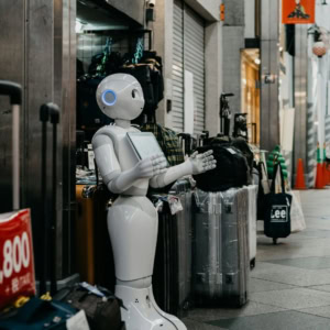 design sans titre (31)