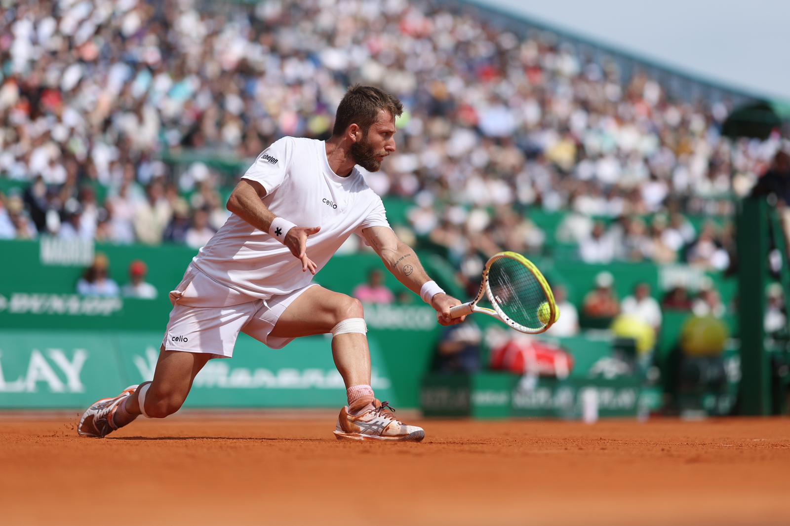 photo 2025 05 14 11 18 15 2